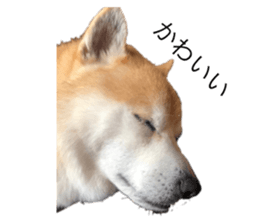 500805997