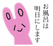 500807752