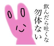 500807753