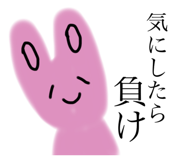 500807755