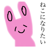 500807757