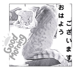 500808526
