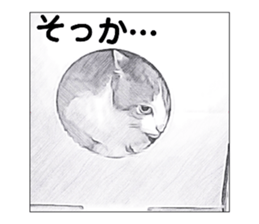 500808528