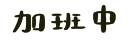 500814038