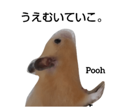 500816632
