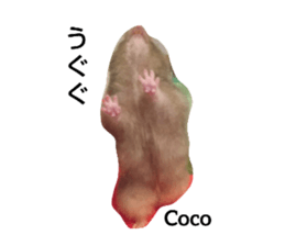 500816635