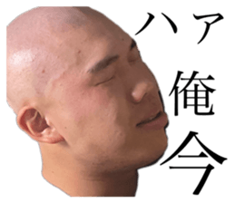 500834440