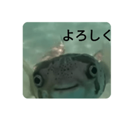 500837478