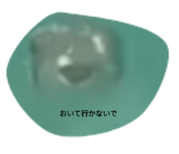 500837481