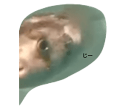 500837482