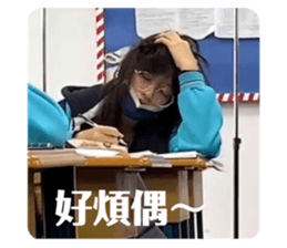 500841538
