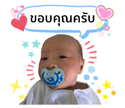 500960538