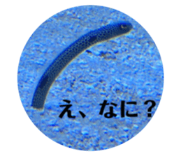 501026844