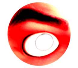 501059457