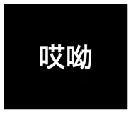 501108294