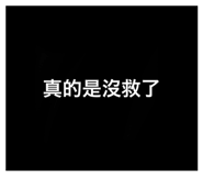 501108295