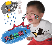 50112057