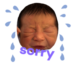 501132579