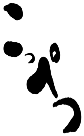 501182646