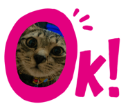 501222802