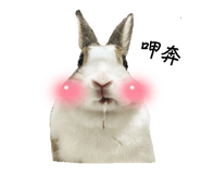 501290317