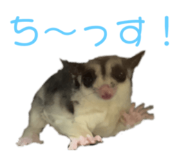 501290965