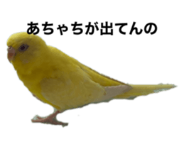 501296983