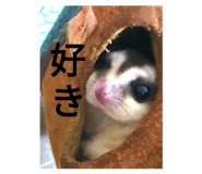 501326463