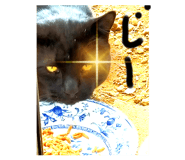 501326475