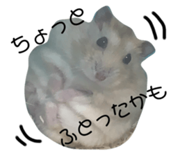 501329365