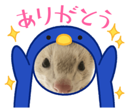 501345754