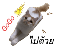 501502195