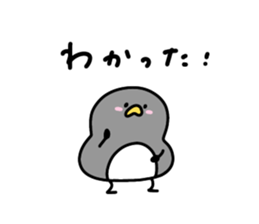 501515791