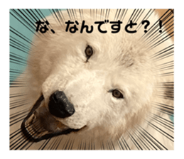 501552535