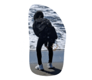 501567345