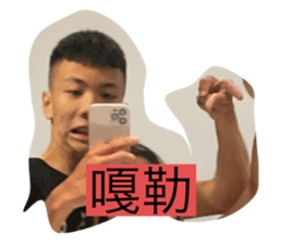 501581347