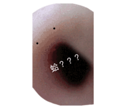 501582023