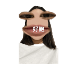 501582035
