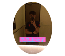 501598207