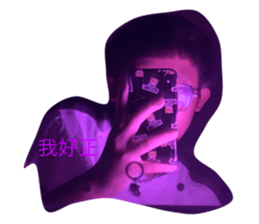 501619027