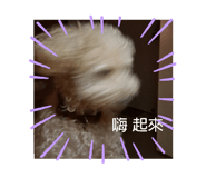 501639822