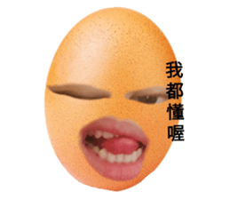 501640878