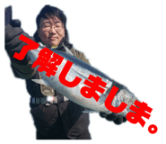 501651246