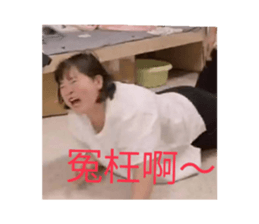 501821731