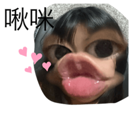 501838023