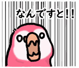 501865814