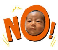 501895613