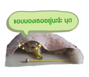 501903371