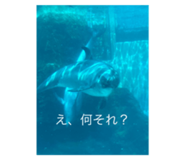 501910925