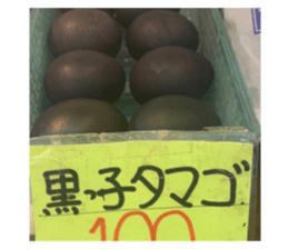 501920470
